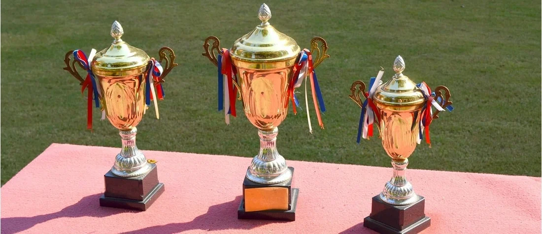 corporate Merchandise Trophy